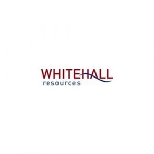 logo8